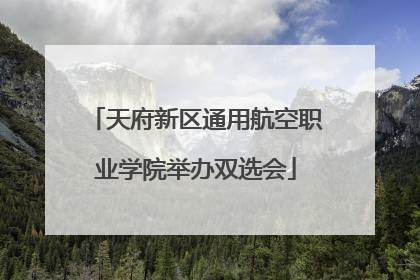 天府新区通用航空职业学院举办双选会