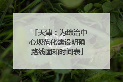 天津：为综治中心规范化建设明确路线图和时间表