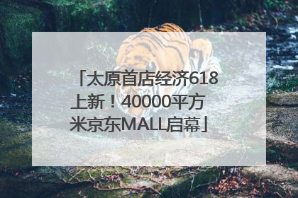 太原首店经济618上新！40000平方米京东MALL启幕