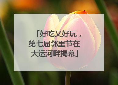 好吃又好玩，第七届邻里节在大运河畔揭幕