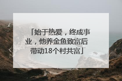 始于热爱，终成事业，他养金鱼致富后带动18个村共富