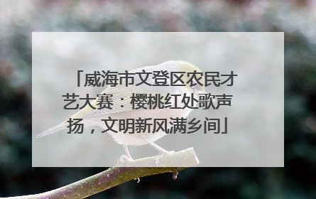 威海市文登区农民才艺大赛：樱桃红处歌声扬，文明新风满乡间