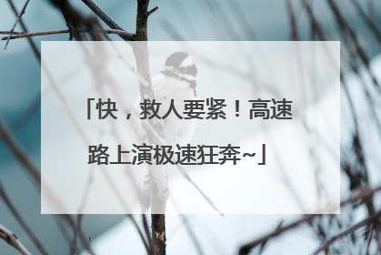 快，救人要紧！高速路上演极速狂奔~