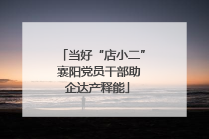 当好“店小二” 襄阳党员干部助企达产释能