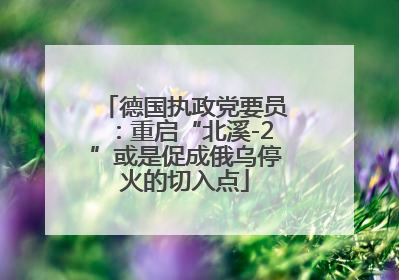 德国执政党要员：重启“北溪-2”或是促成俄乌停火的切入点