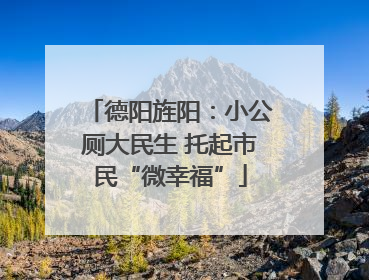德阳旌阳：小公厕大民生 托起市民“微幸福”