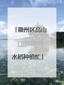 徽州区高山水稻种植忙