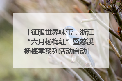 征服世界味蕾，浙江“六月杨梅红”暨慈溪杨梅季系列活动启动