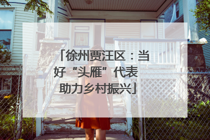 徐州贾汪区：当好“头雁”代表 助力乡村振兴