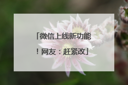 微信上线新功能！网友：赶紧改