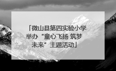 微山县第四实验小学举办“童心飞扬 筑梦未来”主题活动
