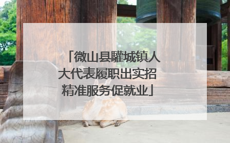 微山县驩城镇人大代表履职出实招精准服务促就业