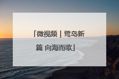 微视频｜鹭岛新篇 向海而歌