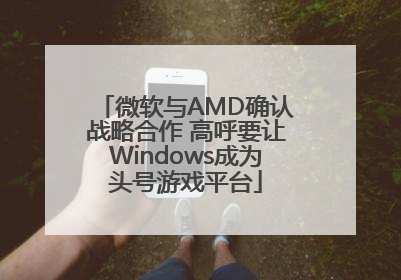 微软与AMD确认战略合作 高呼要让Windows成为头号游戏平台