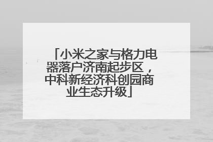 小米之家与格力电器落户济南起步区，中科新经济科创园商业生态升级