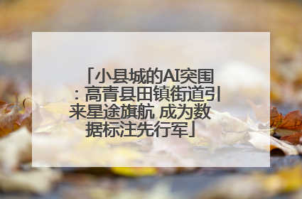 小县城的AI突围：高青县田镇街道引来星途旗航 成为数据标注先行军