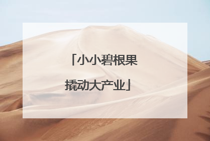 小小碧根果撬动大产业