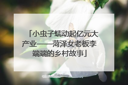 小虫子蠕动起亿元大产业——菏泽女老板李端端的乡村故事