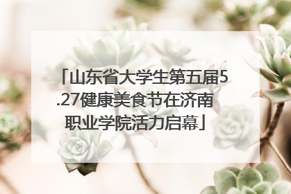 山东省大学生第五届5.27健康美食节在济南职业学院活力启幕