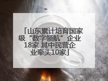 山东累计培育国家级“数字领航”企业18家 其中民营企业牵头10家