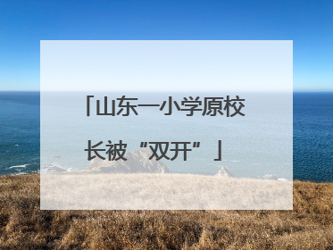 山东一小学原校长被“双开”