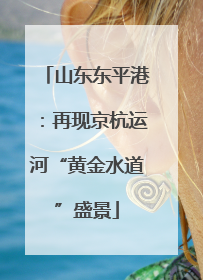 山东东平港：再现京杭运河“黄金水道”盛景