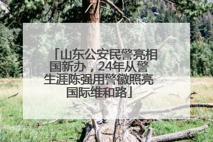 山东公安民警亮相国新办，24年从警生涯陈强用警徽照亮国际维和路
