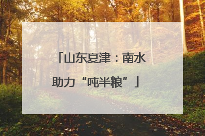 山东夏津：南水助力“吨半粮”
