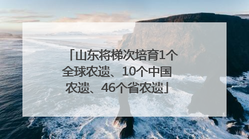 山东将梯次培育1个全球农遗、10个中国农遗、46个省农遗