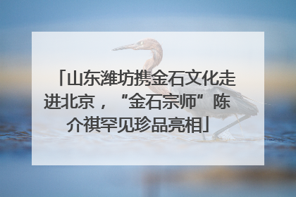 山东潍坊携金石文化走进北京，“金石宗师”陈介祺罕见珍品亮相