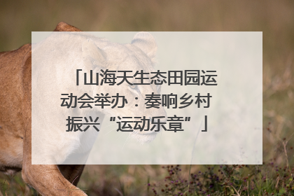 山海天生态田园运动会举办：奏响乡村振兴“运动乐章”