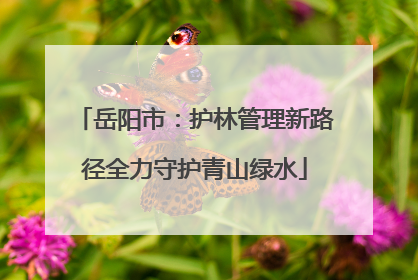 岳阳市：护林管理新路径全力守护青山绿水