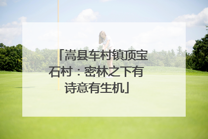 嵩县车村镇顶宝石村：密林之下有诗意有生机