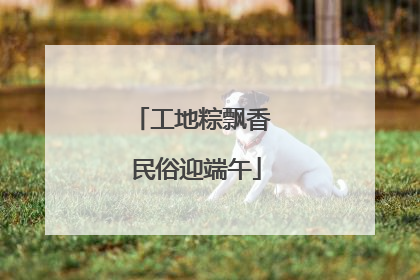 工地粽飘香 民俗迎端午