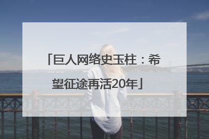巨人网络史玉柱：希望征途再活20年