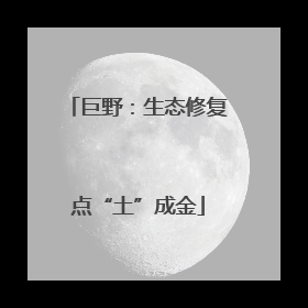 巨野：生态修复点“土”成金
