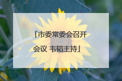 市委常委会召开会议 韦韬主持