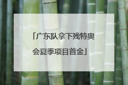 广东队拿下残特奥会夏季项目首金