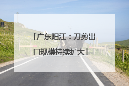 广东阳江：刀剪出口规模持续扩大