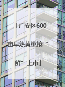 广安区600亩早熟黄桃抢“鲜”上市