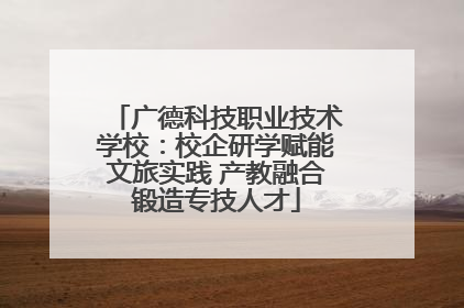 广德科技职业技术学校：校企研学赋能文旅实践 产教融合锻造专技人才