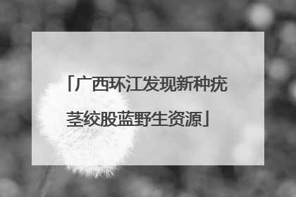 广西环江发现新种疣茎绞股蓝野生资源