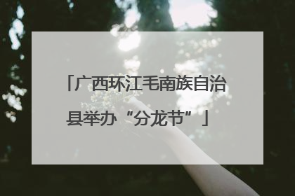 广西环江毛南族自治县举办“分龙节”