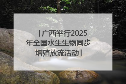 广西举行2025年全国水生生物同步增殖放流活动