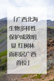 广西北海生物多样性保护成效明显 红树林面积居广西首位