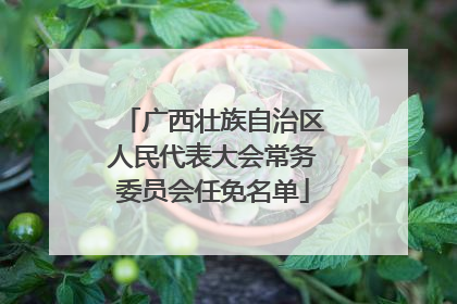 广西壮族自治区人民代表大会常务委员会任免名单