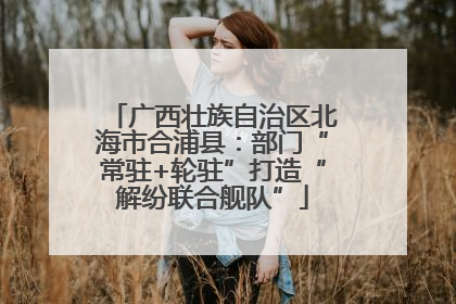 广西壮族自治区北海市合浦县：部门“常驻+轮驻”打造“解纷联合舰队”