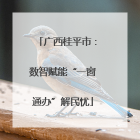 广西桂平市：数智赋能“一窗通办”解民忧