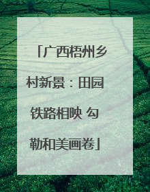 广西梧州乡村新景：田园铁路相映 勾勒和美画卷