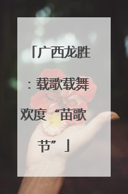 广西龙胜：载歌载舞欢度“苗歌节”